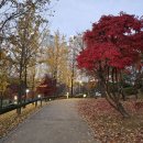 광교호수공원 이미지