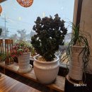 웰빙빌리지 | 대만족?! 파주 두부 맛집, 파주장단콩두부 정식 후기 :D