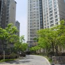 수정-136 이미지