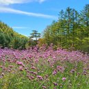 버들목장 이미지