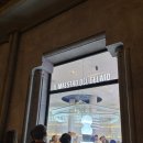 우주인젤라또 | 바르셀로나 젤라또 Lucciano’s 후기