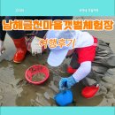 [여행후기] 남해갯벌체험장 남해금천마을갯벌체험장에서 쏙·바지락 잡은 날 - 가족과 함께하는 남해...