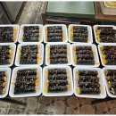 콩순이네 이미지