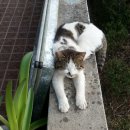 영선농장 이미지