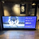 투게더피치우산점 | 여름방학 쫑 | 벨지오이오소 부라타 치즈 +투바투 브이알 콘서트 포카 + 빕스 목동41타워점 + 무인양품...