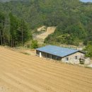 The 休 이미지