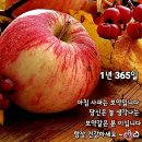 17회의날 17일 시산제 and 4/14(일) 이미지