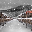 황태덕장 이미지