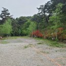 소나무농원 캠핑장 이미지