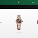 에버로즈 이미지