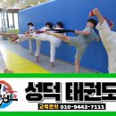 성덕태권도 이미지