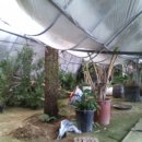 화신식물원 이미지