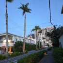 왕준코 | 문비치리조트 근처 숙소 맛집 이자카야 ゆうな 유우나 모듬꼬치 맛집 추천&amp;로손 편의점 추천템 구매 후기