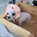 리쌀롱 이미지