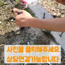 죽전태양광 | 어두운곳태양광가로등설치 전문 업체