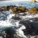 맑은축산 이미지