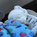 내포캠핑스퀘어 | 캠핑기록 #1 [충남/홍성] 내포캠핑스퀘어 애견동반 E8 2박3일 후기-1일차