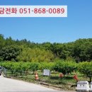 양덕동113 이미지