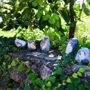 돌담과 초록 이미지