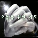 오늘을 위한 기도 / 이해인 이미지