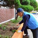 (주)청룡자원 Daum카페