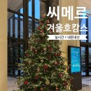 롯데스파랜드 | 인천 파라다이스 호텔 씨메르 수영장 찜질방 스파 겨울 호캉스 내돈내산 후기