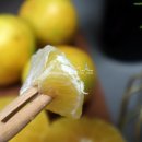 오성농장2 이미지