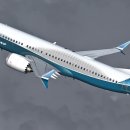 [FSX/FS2004][프리웨어] TDS Boeing 737 MAX 8 출시 이미지