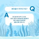 바다숲 이미지