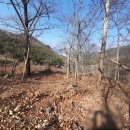 세림농장 이미지