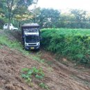 임대길농장 이미지