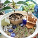 초록정원 이미지