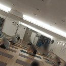 필라테스H - 달서구 조암로 41 | 상현동 요가 찾다가 시작한 H요가 상현점 매트 필라테스 후기