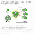 [분석 백서] ZPX 위상 공명 기반 양성자-보론($p ext{-}^{11} ext{B}$) 비중성자 핵융합의 작동 원리와 공학적 이미지