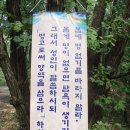 낙원산약초 좋은글2 이미지