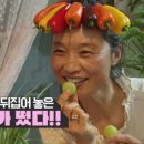 화순농장 네이버블로그