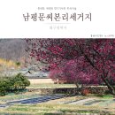 대구 남평문씨본리세거지 매화향기 가득했던 한옥마을