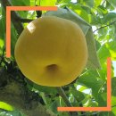 원항농장 이미지