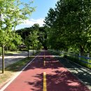 탄금공원 이미지