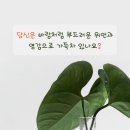 플로리스트&생활원예 이미지
