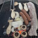 평화오토 | 화천 [평화의댐 오토캠핑장] 카라반 1박 솔직 후기