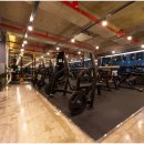 더스타핏 피트니스 이미지