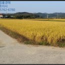 임봉보건진료소 이미지