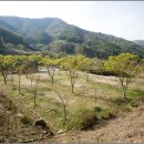 와룡자연휴양림 이미지