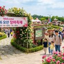 문시초등학교 | 오산 장미축제 가기 전 꼭 볼 주차·개화·먹거리 핵심 정리