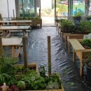 강정농장 이미지