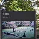 제주 삼성혈 | 제주 삼성혈 벚꽃 후기 | 유료입장이지만 가볼만했던 제주시 벚꽃 명소