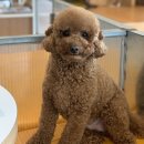 산책가까 이미지