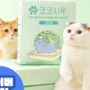 두부시루