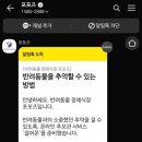 포포즈반려동물장례식장양주점